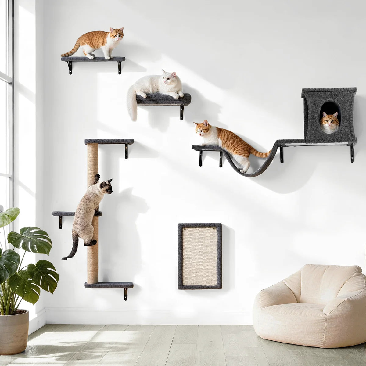 Cat Wall Shelves Perches Set, 5 in 1 Wall Furniture, Sleeping Playing Lounging Climbing Wall-Mounted Cat Tree House for Multiple Cats