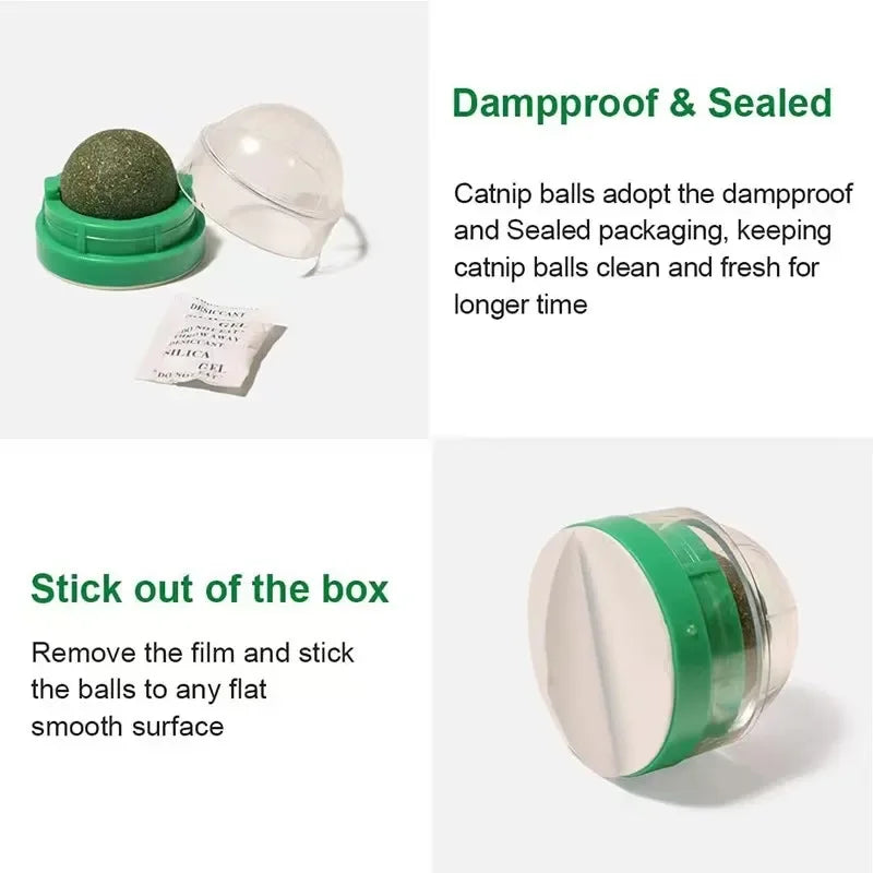 Wall-Mounted Catnip Ball Toy with Scratchers & Digestive Cat Grass Snack