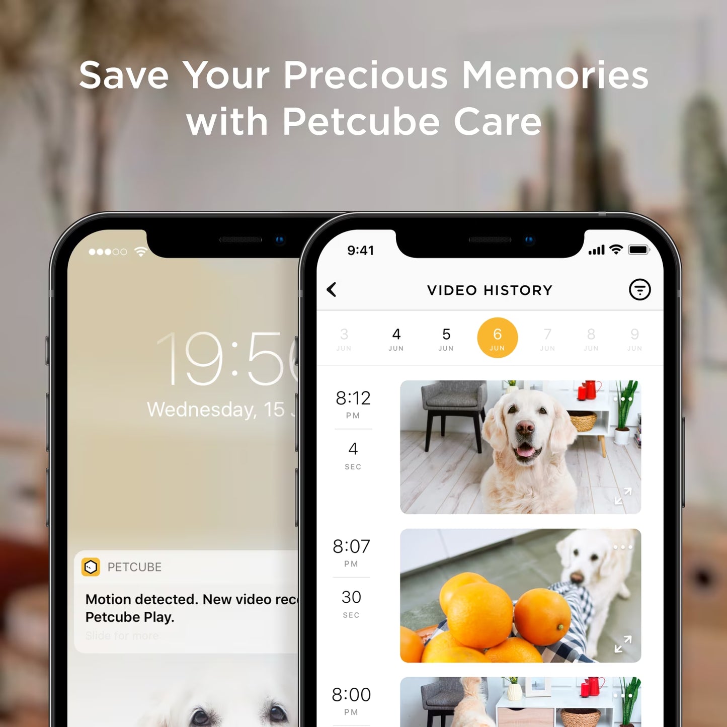 Bites 2 Lite Wifi Pet Camera with Treat Dispenser, 1080P HD Video, Two-Way Audio, Night Vision, Motion & Sound Alerts, Dog & Cat Monitor with App