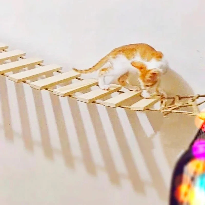 Toys Wall-Mounted Activity Cat Wood Sisal Scratcher Climber Furniture Cat Bridge Rope Steps Kitten Ladder Kitten Post Wall