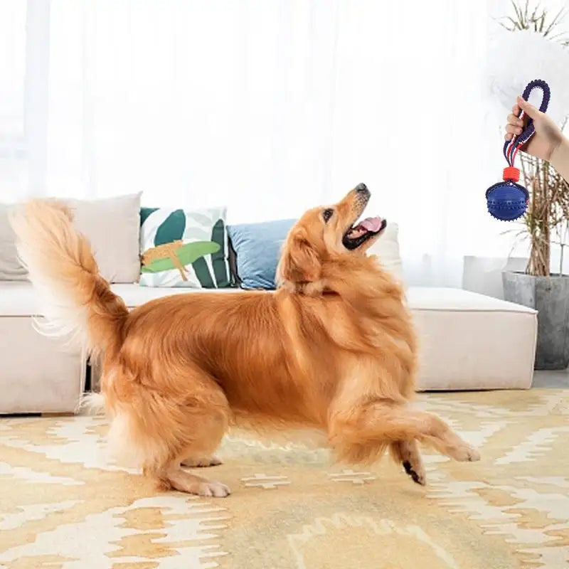 Interactive Dog Toy Ball Interactive Teether with Rope Dog Ball Pet Supplies Chewing Ball Training for Living Room Lake Beach Pets Products