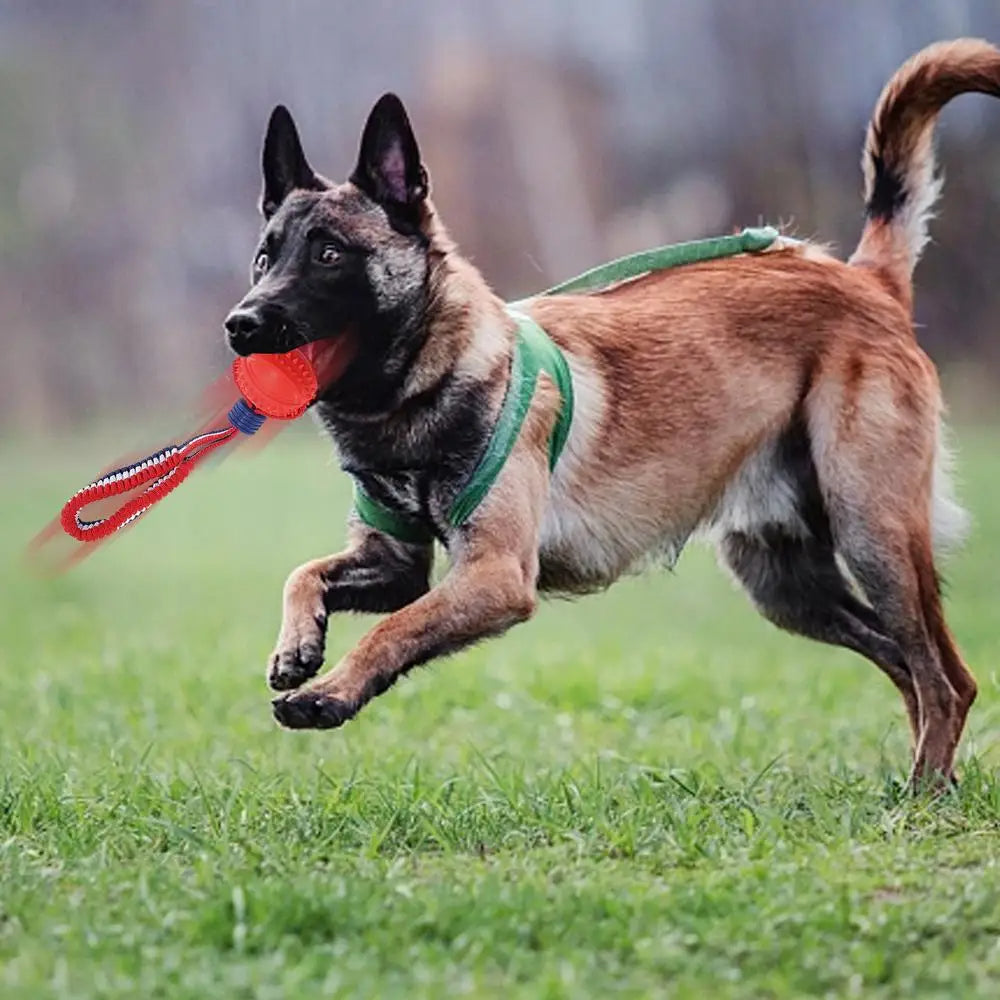 Interactive Dog Toy Ball Interactive Teether with Rope Dog Ball Pet Supplies Chewing Ball Training for Living Room Lake Beach Pets Products