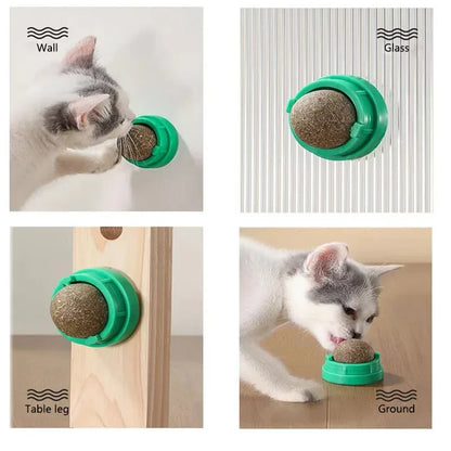 Wall-Mounted Catnip Ball Toy with Scratchers & Digestive Cat Grass Snack