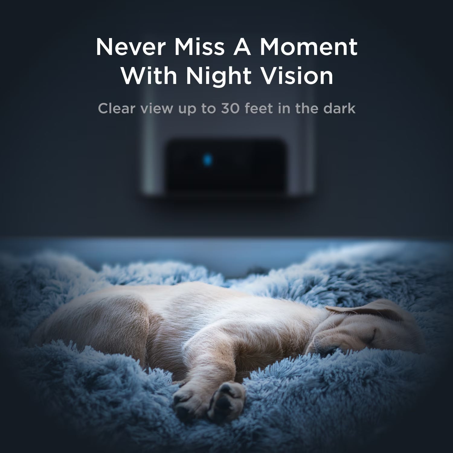 Bites 2 Lite Wifi Pet Camera with Treat Dispenser, 1080P HD Video, Two-Way Audio, Night Vision, Motion & Sound Alerts, Dog & Cat Monitor with App