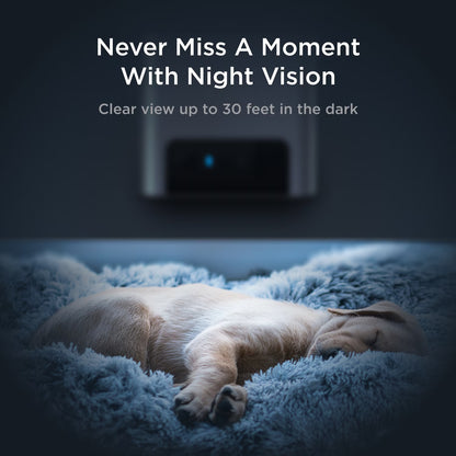 Bites 2 Lite Wifi Pet Camera with Treat Dispenser, 1080P HD Video, Two-Way Audio, Night Vision, Motion & Sound Alerts, Dog & Cat Monitor with App