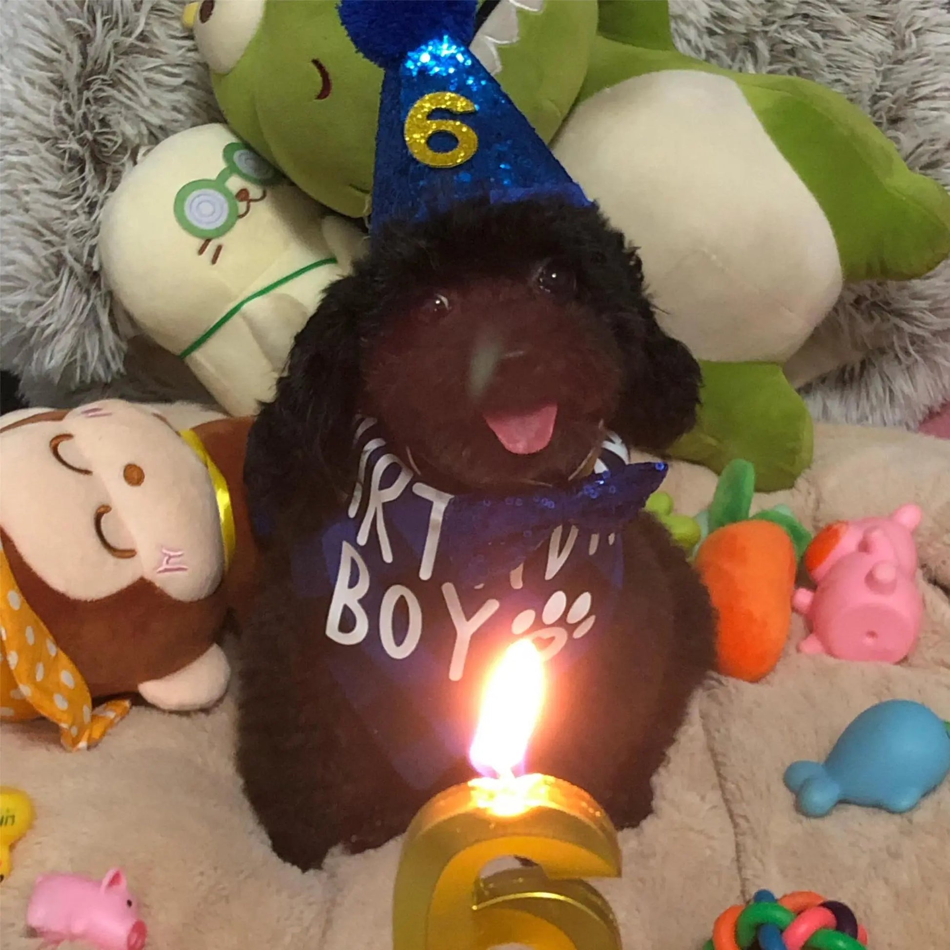 Dog Birthday Party Supplies, 1 Set Dog Birthday Hat & Bow Tie & Number & Bandana Set, Pet Birthday Party Decoration