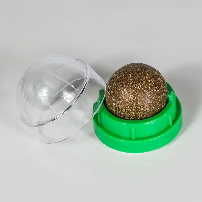 Wall-Mounted Catnip Ball Toy with Scratchers & Digestive Cat Grass Snack