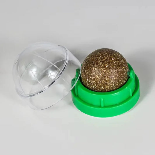Wall-Mounted Catnip Ball Toy with Scratchers & Digestive Cat Grass Snack