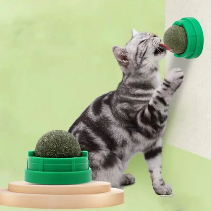 Wall-Mounted Catnip Ball Toy with Scratchers & Digestive Cat Grass Snack