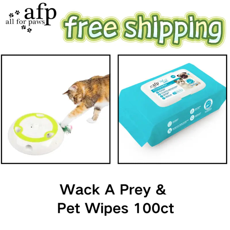 Allforpaws Whack a Mole Cat Mouse Toy for Cats - Interactive Cat Toys with Automatic Feather Mice & No Touch Sensor Required