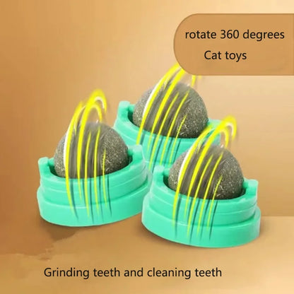 Wall-Mounted Catnip Ball Toy with Scratchers & Digestive Cat Grass Snack