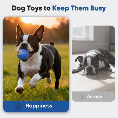 Automatic Rechargeable Interactive Dog Ball with Active Rolling Treat Dispensing for Small Medium Dogs, Blue