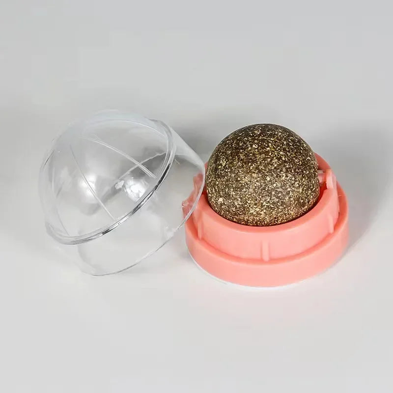 Wall-Mounted Catnip Ball Toy with Scratchers & Digestive Cat Grass Snack