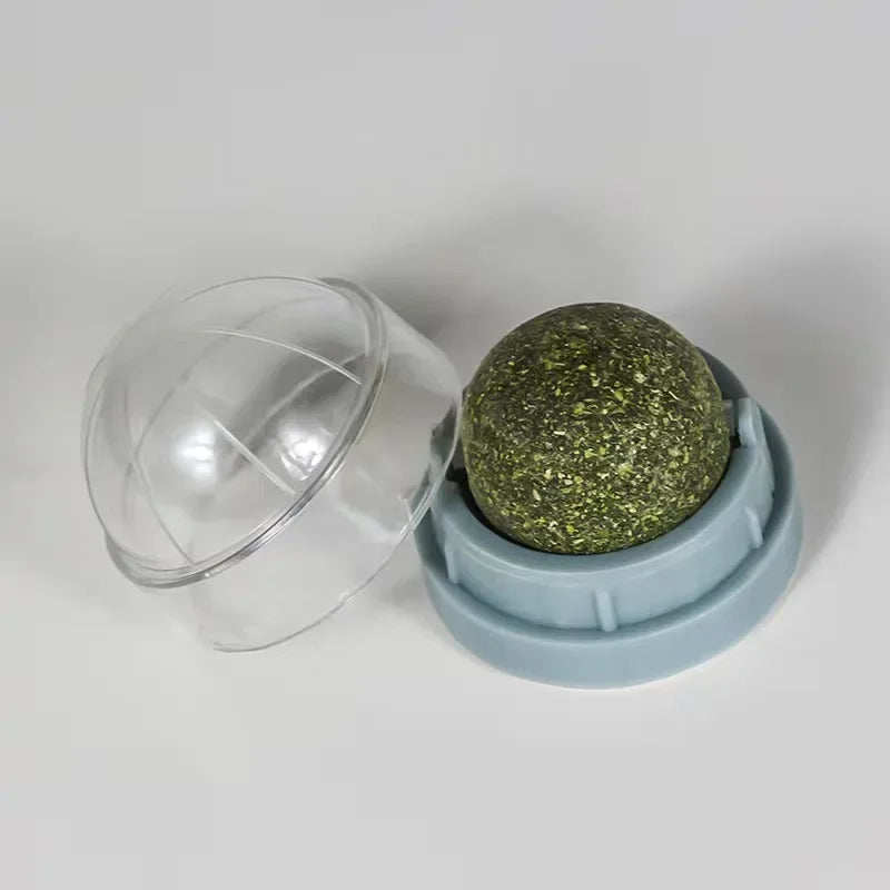 Wall-Mounted Catnip Ball Toy with Scratchers & Digestive Cat Grass Snack