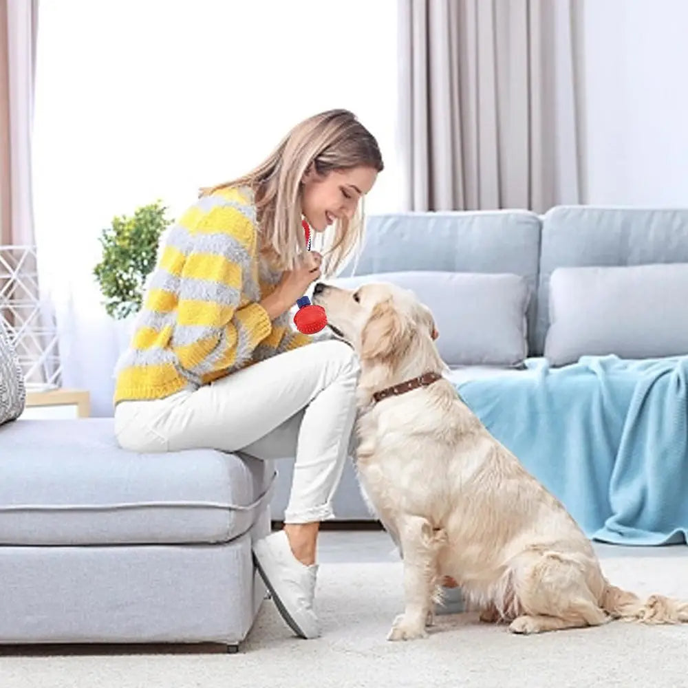 Interactive Dog Toy Ball Interactive Teether with Rope Dog Ball Pet Supplies Chewing Ball Training for Living Room Lake Beach Pets Products